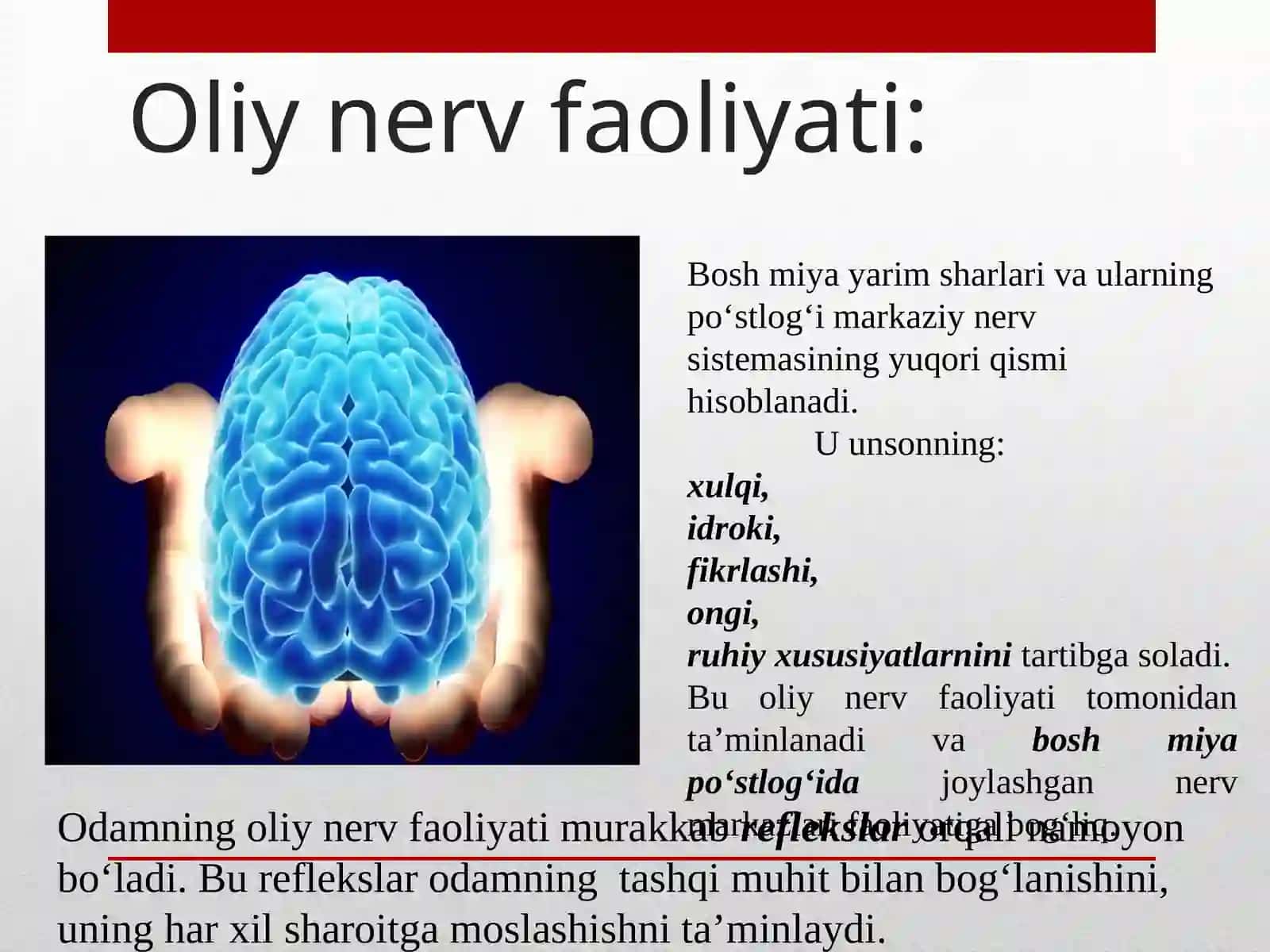OLIY NERV FAOLIYATI VA UNING YOSH XUSUSUYATLARI 2