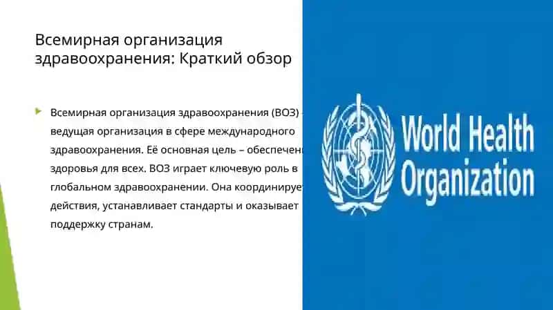 Всемирная организация здравоохранения 2
