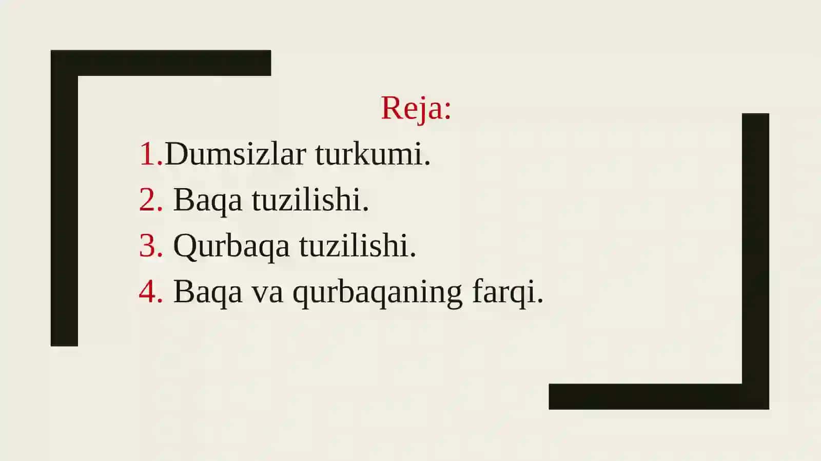 Dumsizlar turkumi va ularning oilalari 2