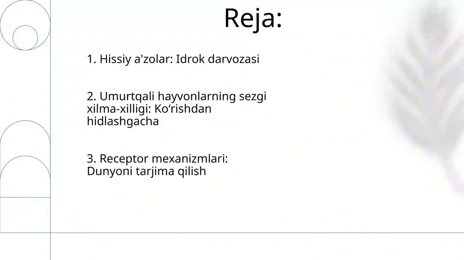 Umurtqali hayvonlar sezgi azolari, sensor(qabul qilish) mexanizimlari 2