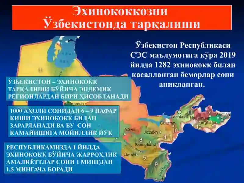 Bolalarda Exinokokk kasalligi. Etiopatogenez, klinika, diagnostika va davolash usullari 2
