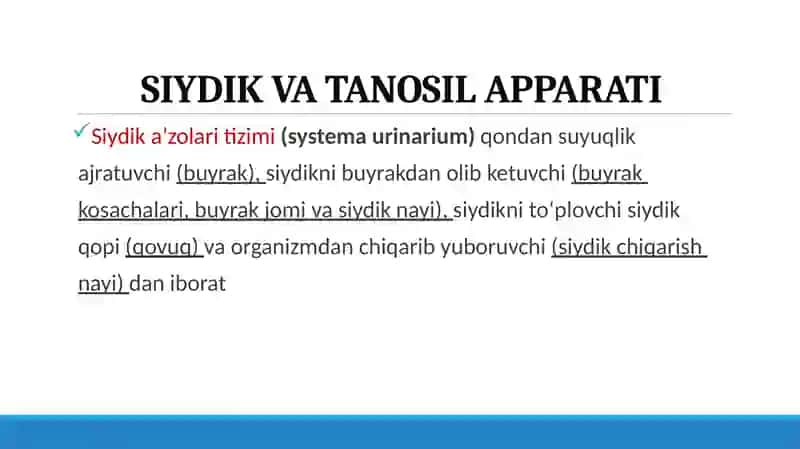 Siydik-tanosila'zolarining funksional vayoshlianatomiyasi 2