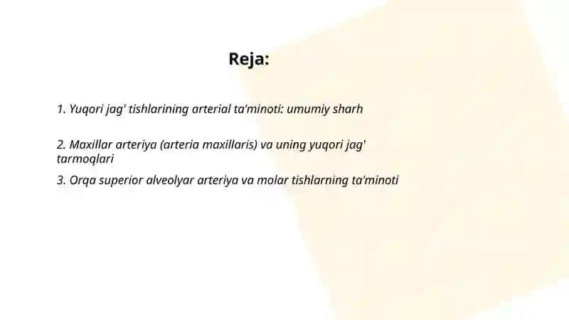 Yuqori jag' tishlarining arteria vena va nerv bilan ta'minlanishi 2