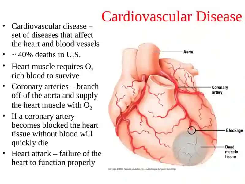 Cardiovascular Disease 2