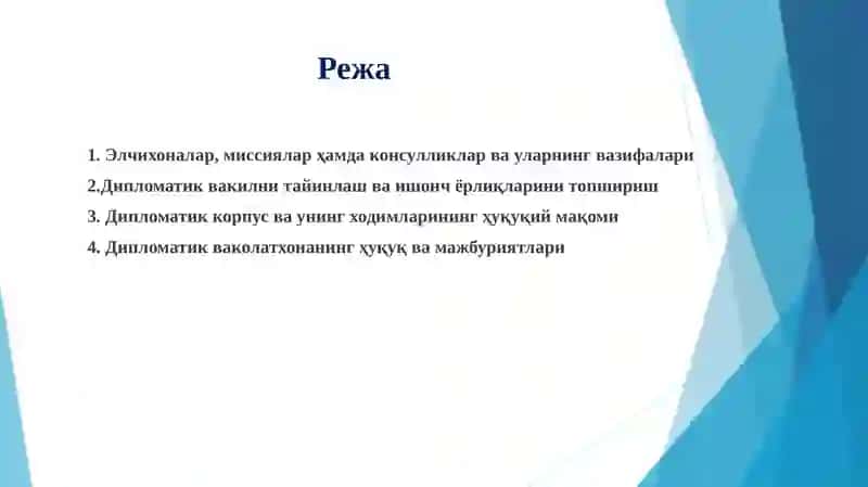 Дипломатик ваколатхоналар, уларнинг вазифалари ҳамда ҳуқуқлари 2