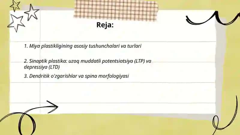 Miya plastikligi va neuroplastika jarayonlari 2