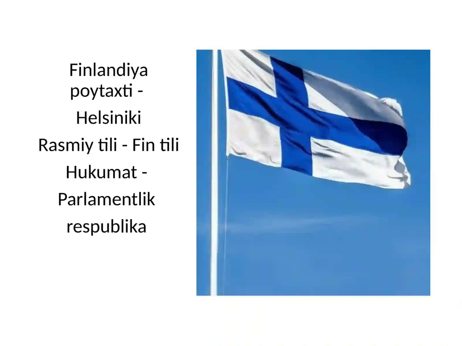 MSMTEB yo'nalishi 102-guruh talabasi Abdikarimova Dilnavozning MSMTEB asoslari fanidan tayyorlagan prezentatsiyasi 2