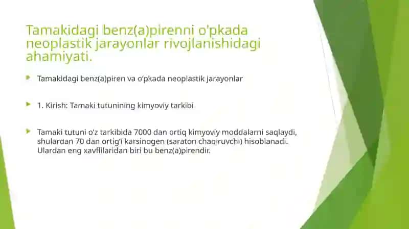 Tamakidagi benzopirenni o'pkada neoplastik jarayonlar rivojlanishidagi ahamiyati 2