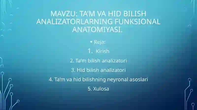 Ta’m va hid bilish analizatorlarining funksional anatomiyasi 2