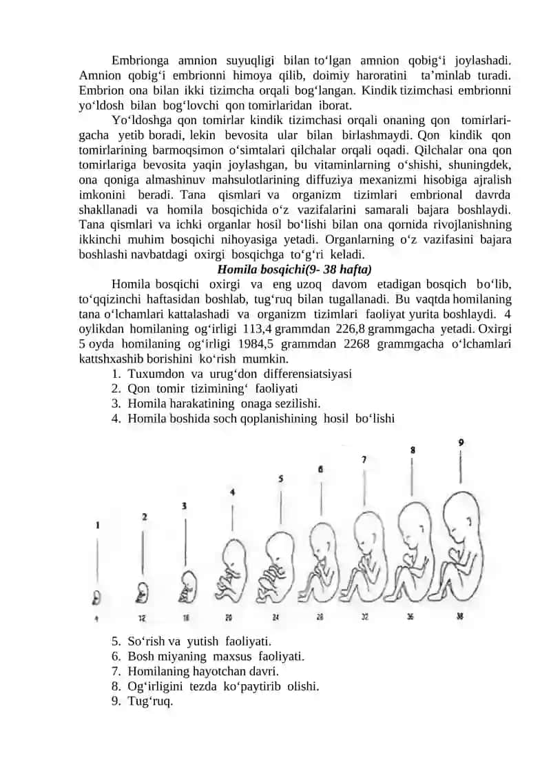 PERINATAL DAVR. CHAQALOQLIK VA GO’DAKLIK DAVRI. ILK BOLALIK DAVRI 2
