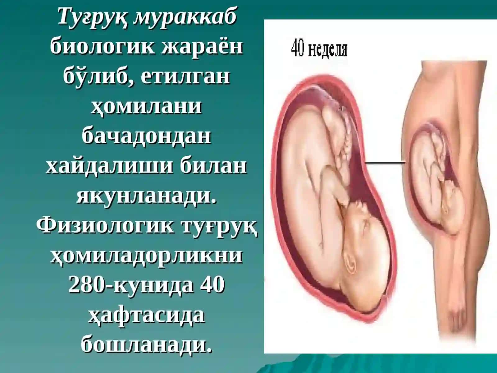 Туғруқ 2