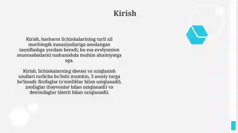 Hasharot lichinkalari turlari bilan tanishuv 2