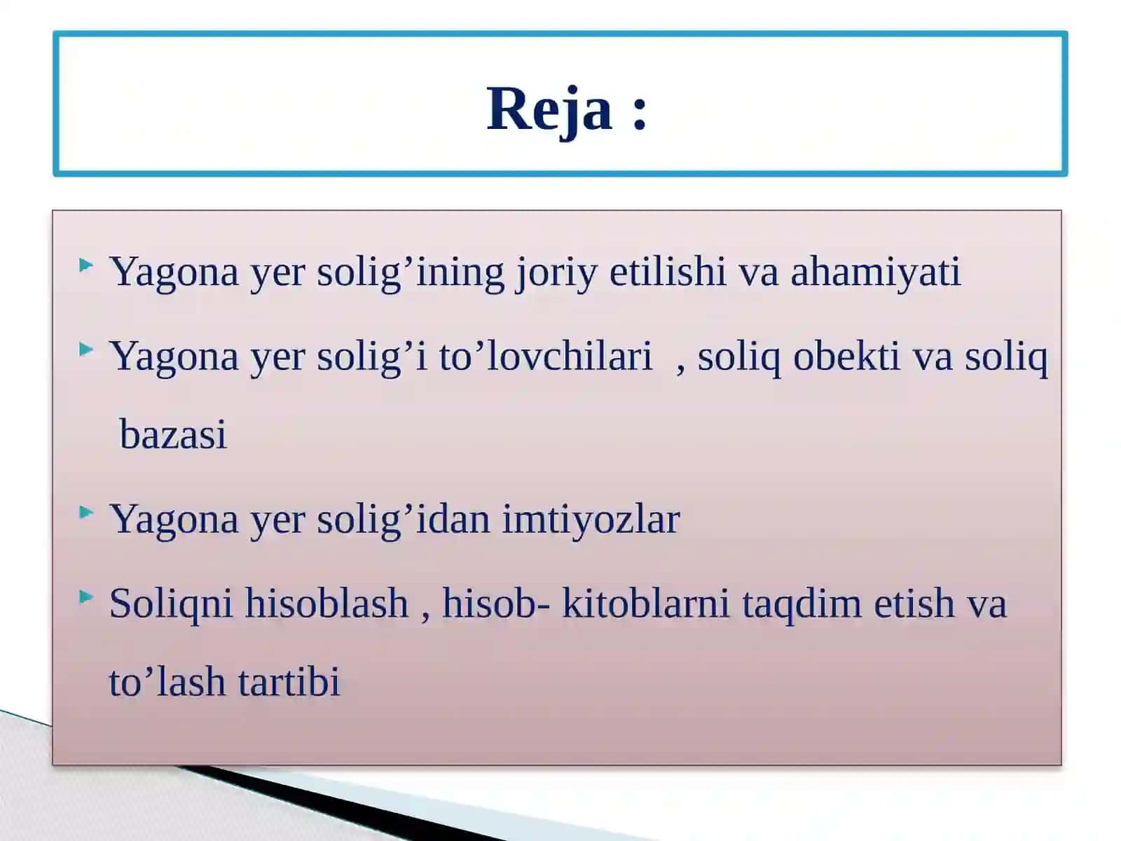 Yagona yer solig’i 2
