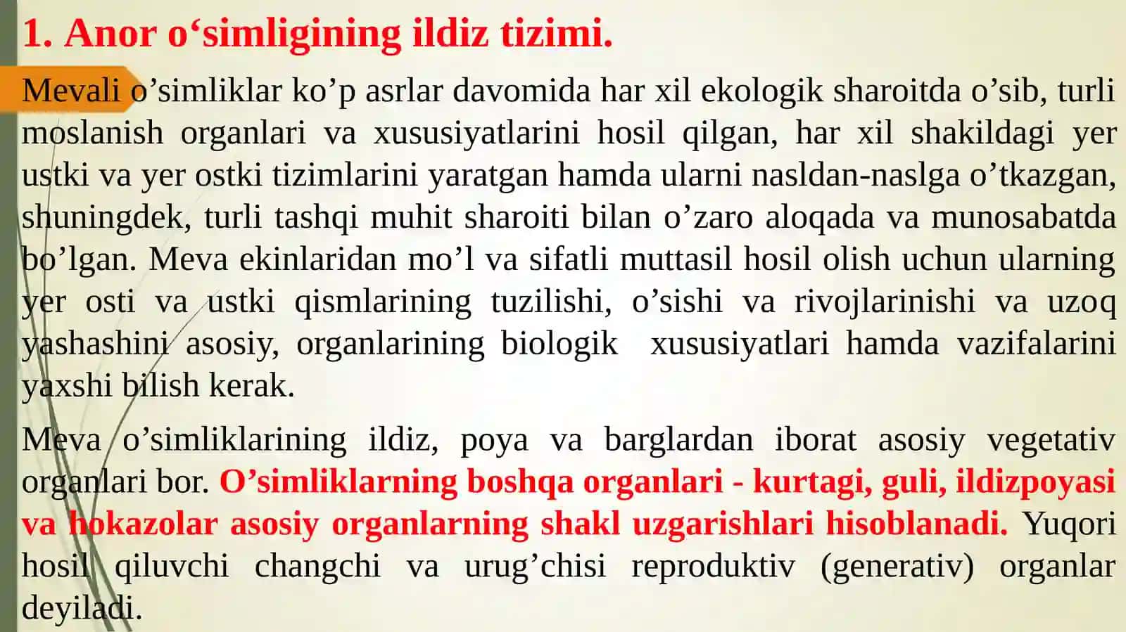 ANOR O’SIMLIGINING MORFOLOGIK TUZILISHI 2