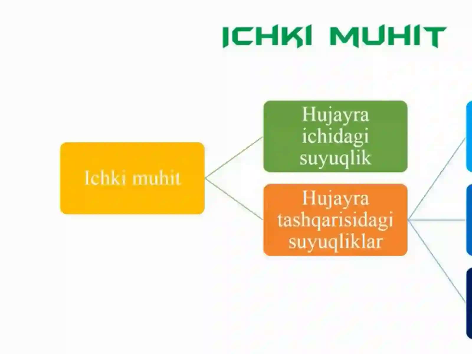 Yurak qon-tomir tizimi fiziologiyasi va yoshga bog’lik xususiyatlari 2