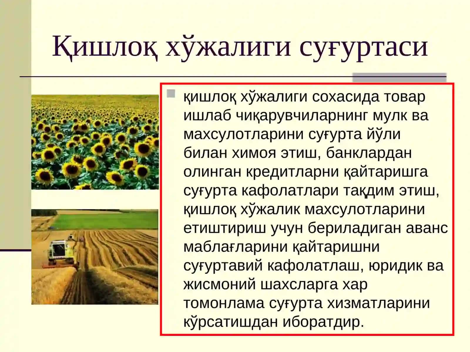 Қишлоқ хўжалиги суғуртаси 2