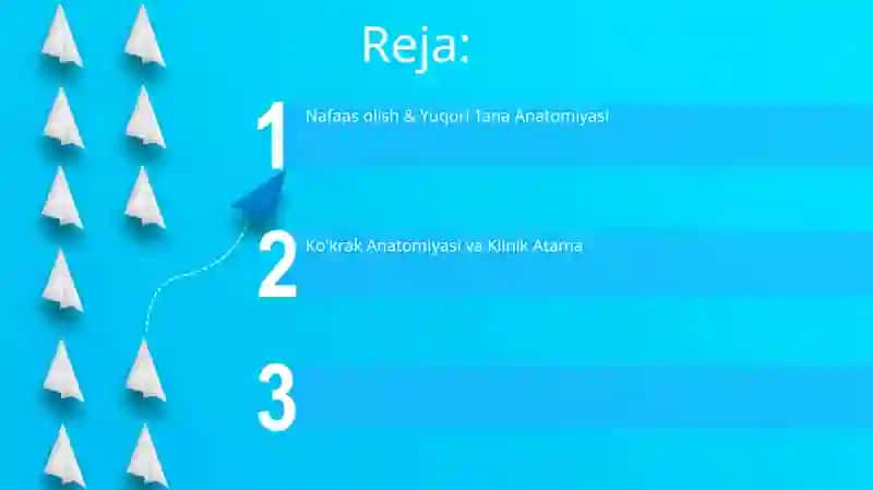 Nafaas olish & Yuqori Tana Anatomiyasi 2