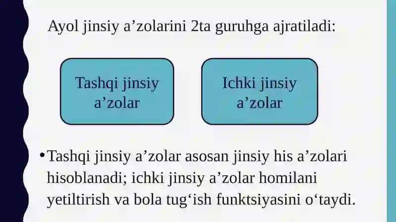 Ayollar jinsiy tizimining klinika-anatomiyasi 2