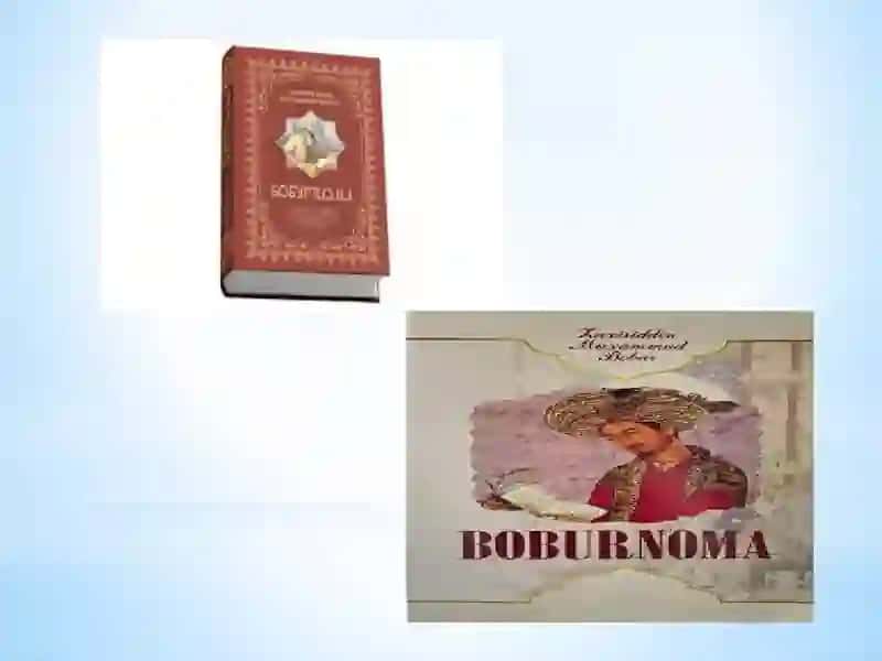 Boburnoma 2
