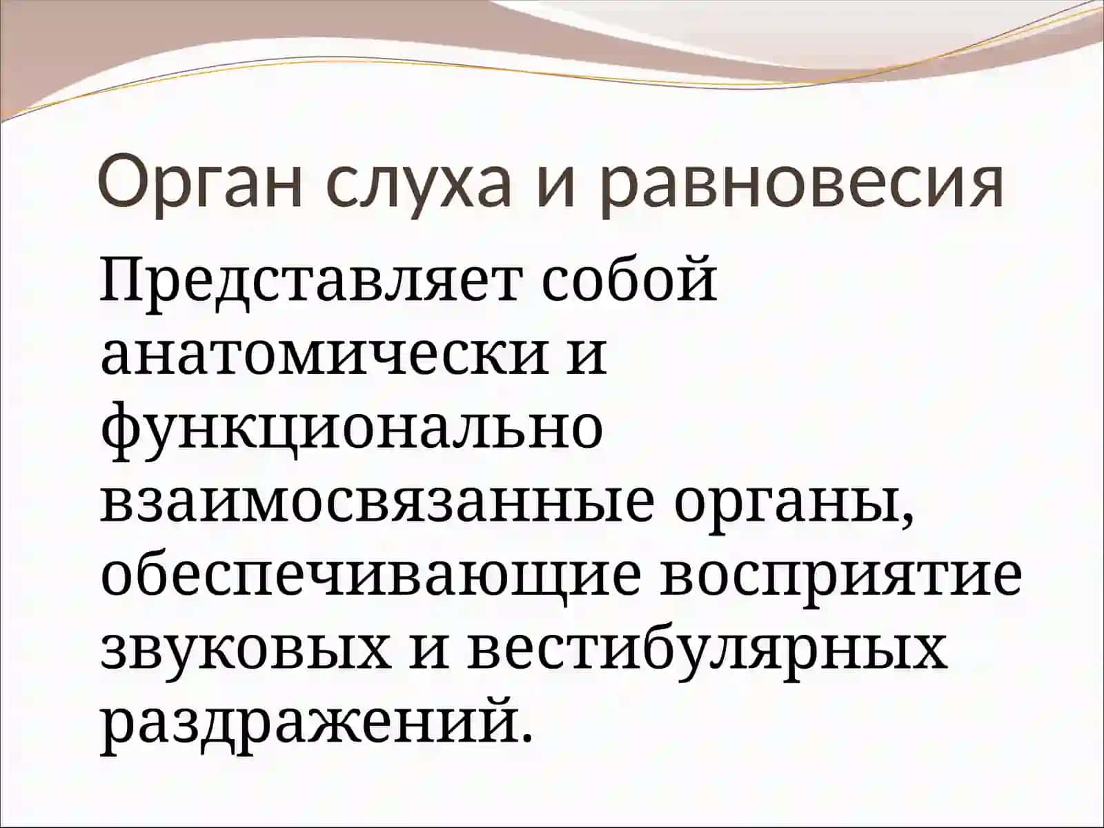 Орган слуха и равновесия 2