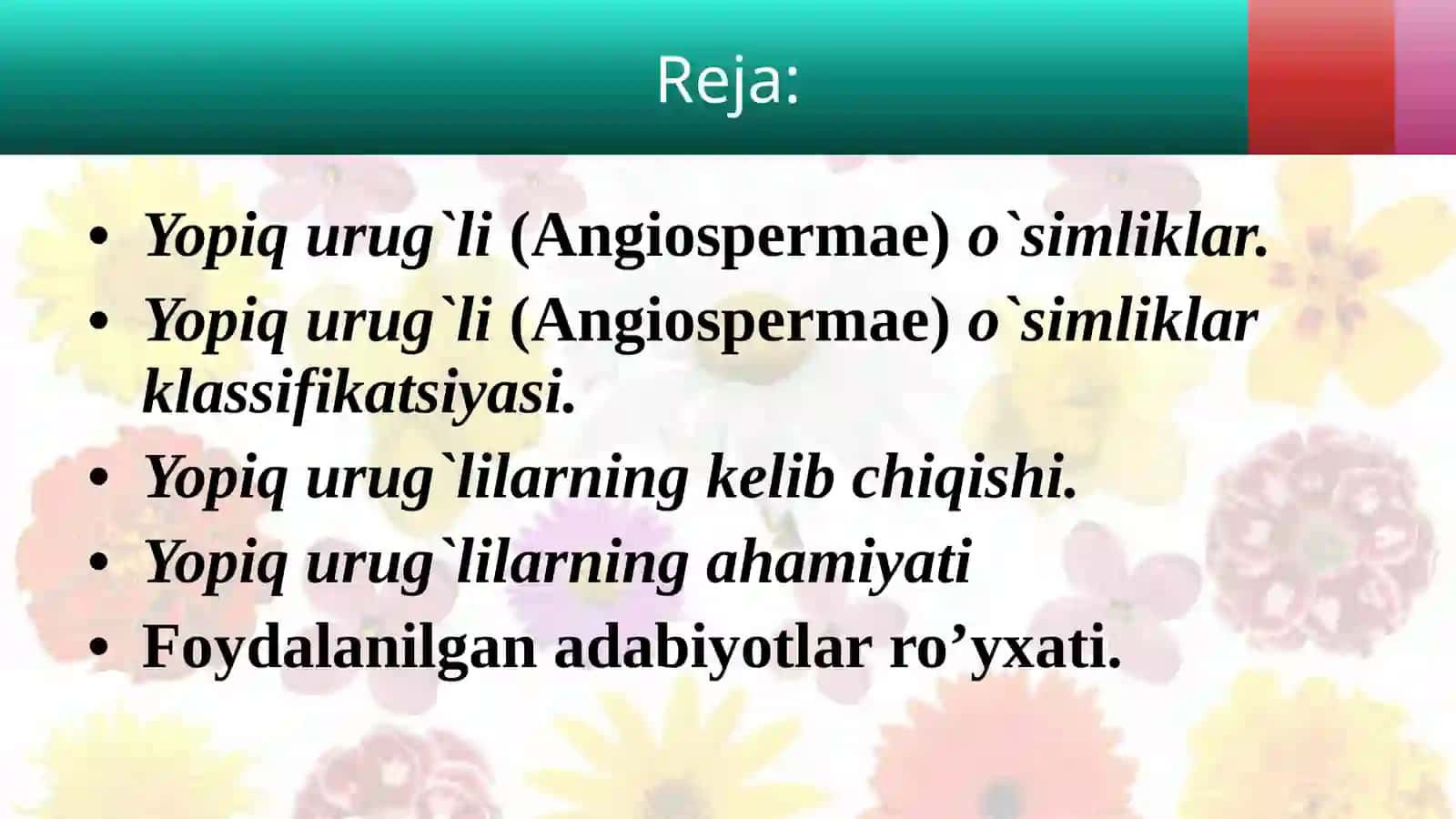 YOPIQ URUG`LI(ANGIOSPERMAE)O'SIMLIKLAR BILAN UMUMIY TANISHISH 2