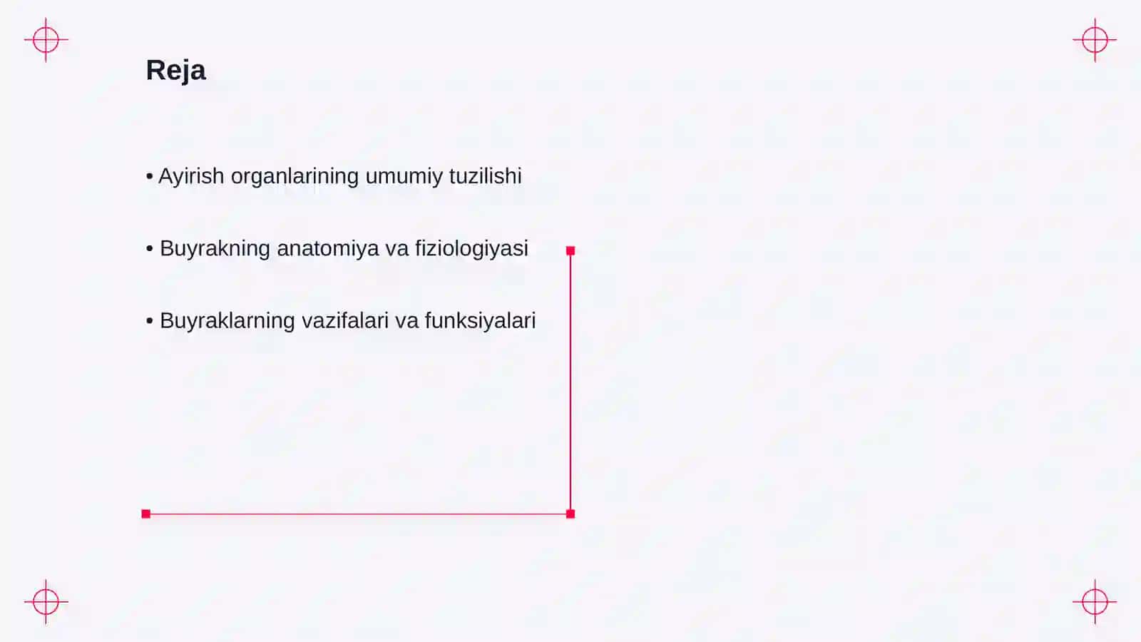 Ayirish organlarining tuzilishi. Buyrakning tuzilishi 2