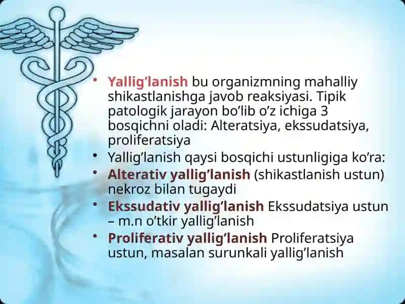 Yallig’lanish 2
