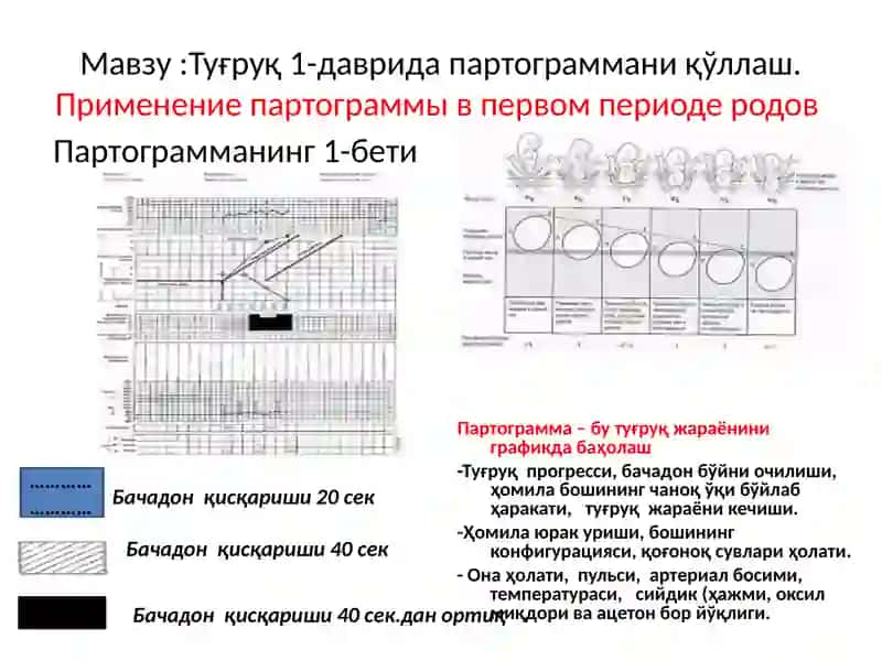 Аёллар чаноғининг тузилиши.Анатомия женского таза 2