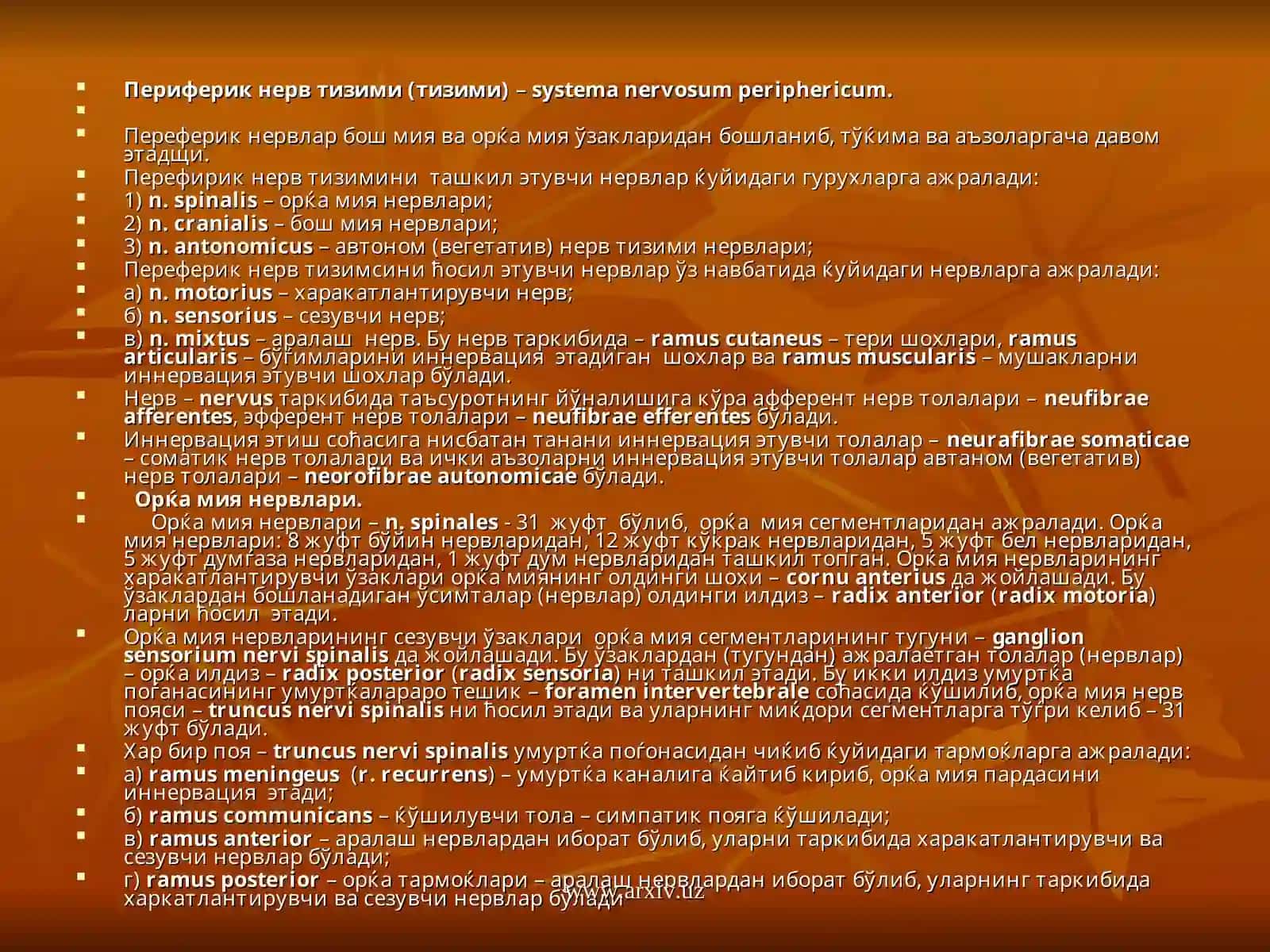 Периферик нерв тизими (тизими)–systema nervosum periphericum 2