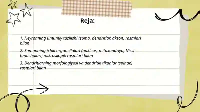 asab hujayralarining tuzilishi va ularning turlari rasmlari bilan 2