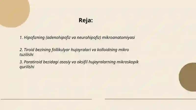 Endokrin bezlarning mikro tuzilishi 2