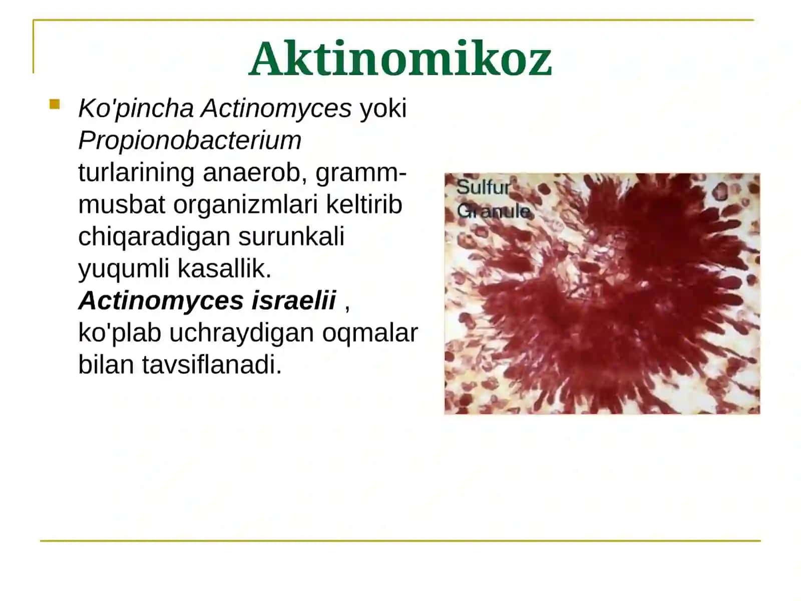 Surunkali va parazitar xirurgik infektsiya 2