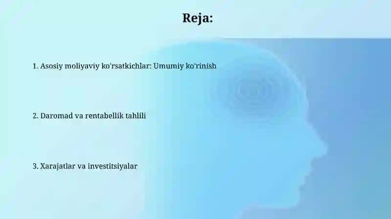 Redmi asosiy moliyaviy koʻrsatkichlari 2023-2024 2