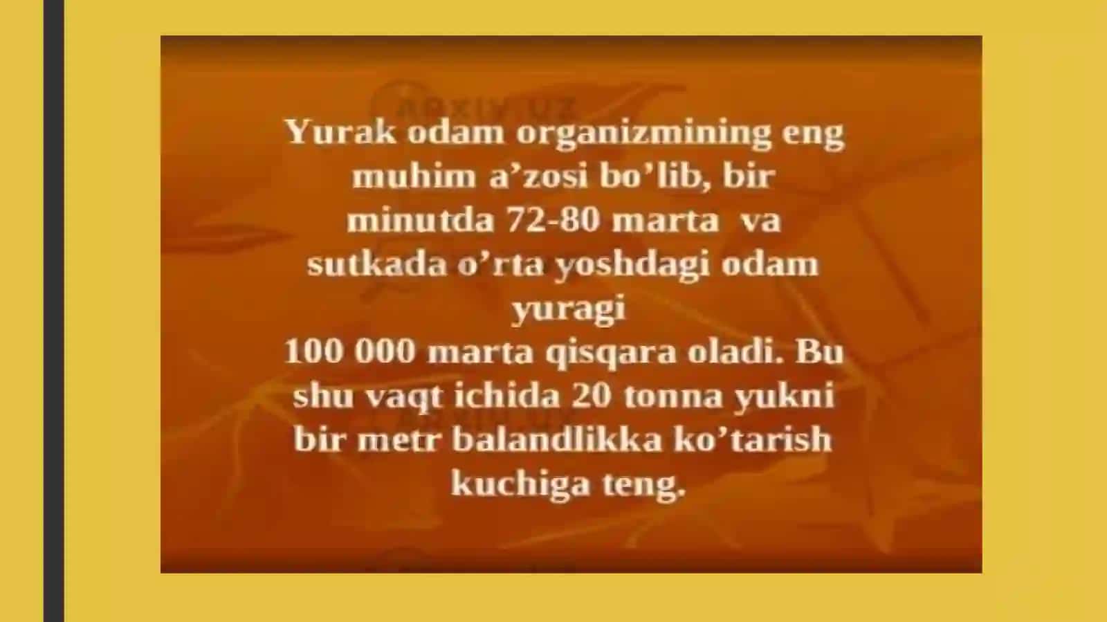 Yurak-qon tomirning anatamo-fiziologik tuzilishi 2