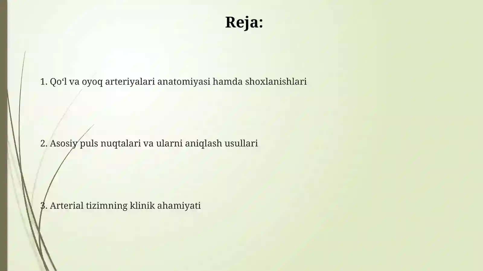 Qo‘l va oyoq arteriyalari, tarmoqlari, pulsatsiya nuqtalari 2