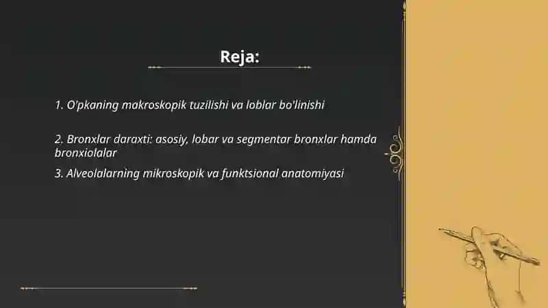 O'pka, bronxlar, plevra, ko'ks oralig'i topografiyasi va funksional anatomiyasi 2