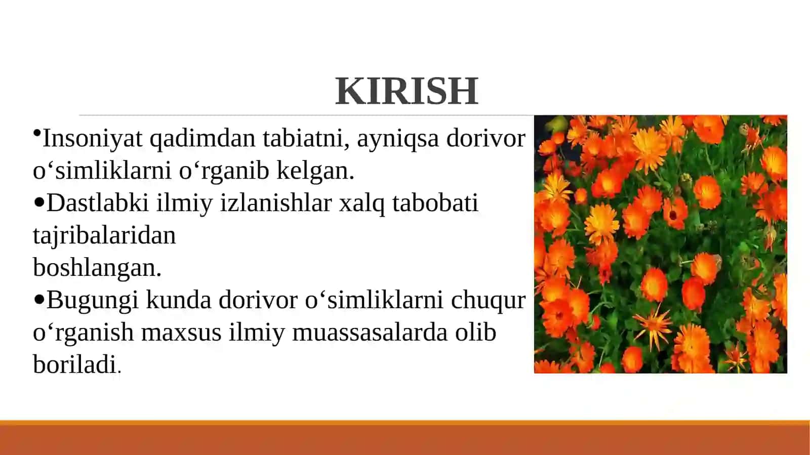 Ilmiy izlanish tarixi va ilmiy muassasalarning turlari 2