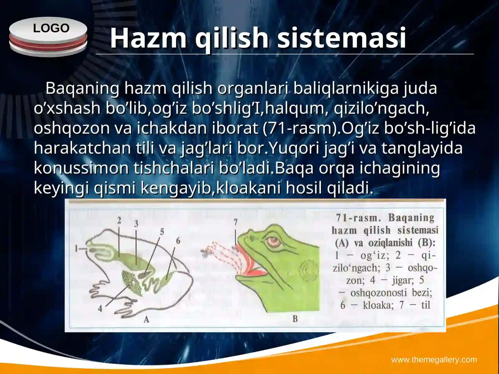 Baqaning hazm qilish organlari 2