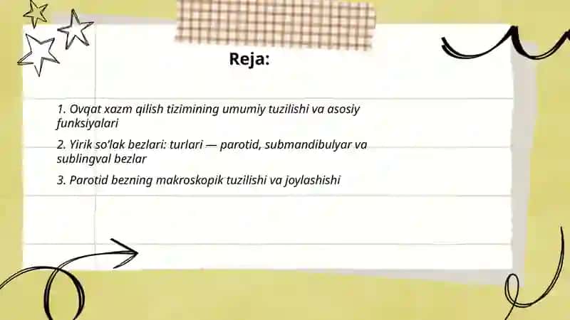 Ovqat xazm qilish tizimi 2