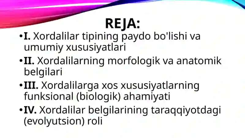 Xordalilarning muhim belgilari va ularning biologik ahamiyati. 2