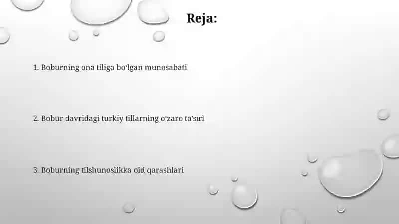 Boburning tilshunoslikka oid qarashlari 2