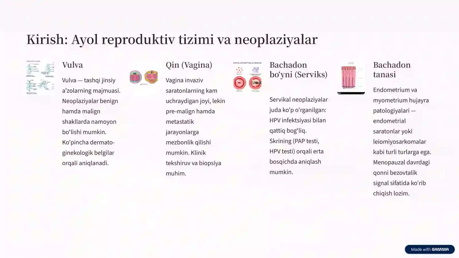 Vulva, Qin, Bachadon Boʻyni va Tanasi Neoplaziyalari 2