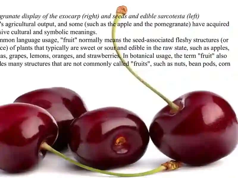 Fruits. 2