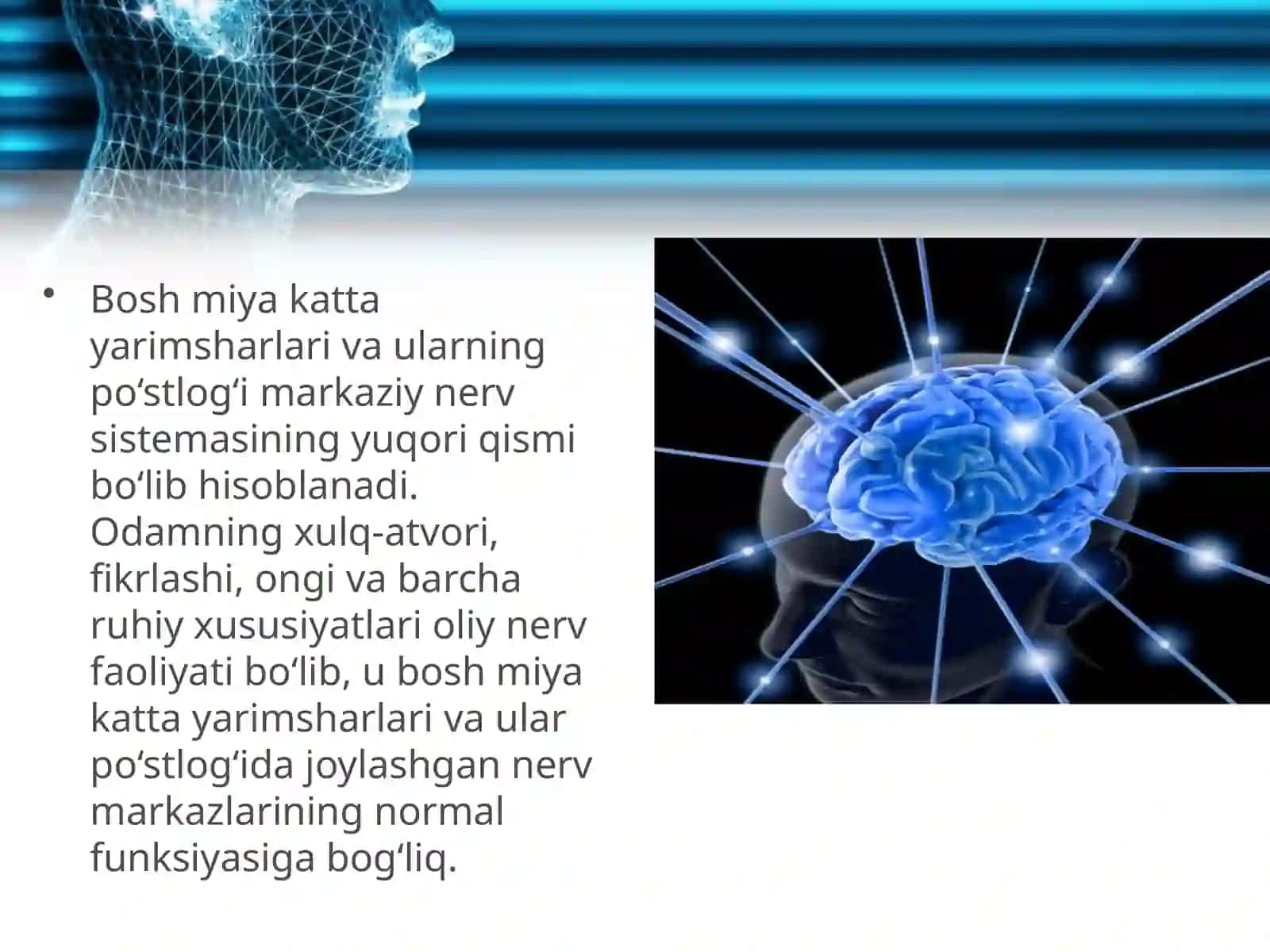 Shartsiz va shartli reflekslar 2