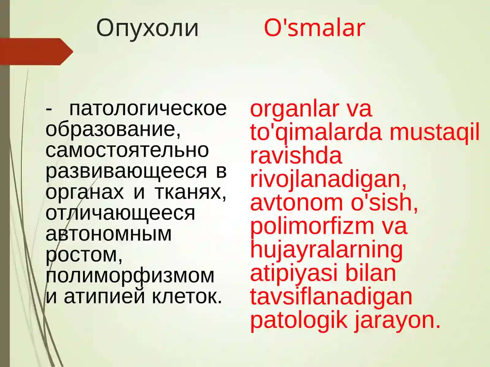 ОСНОВЫ ОНКОЛОГИИONKOLOGIYA ASOSLARI 2