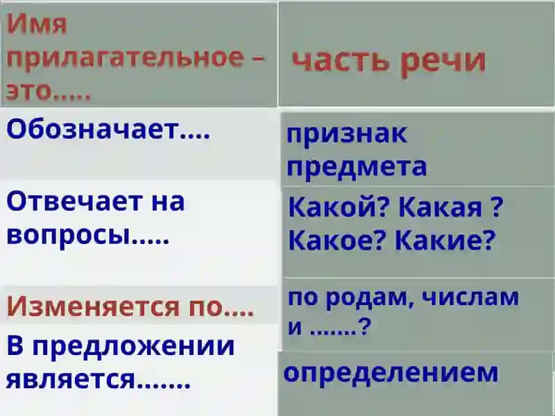 Имя прилагательное 2