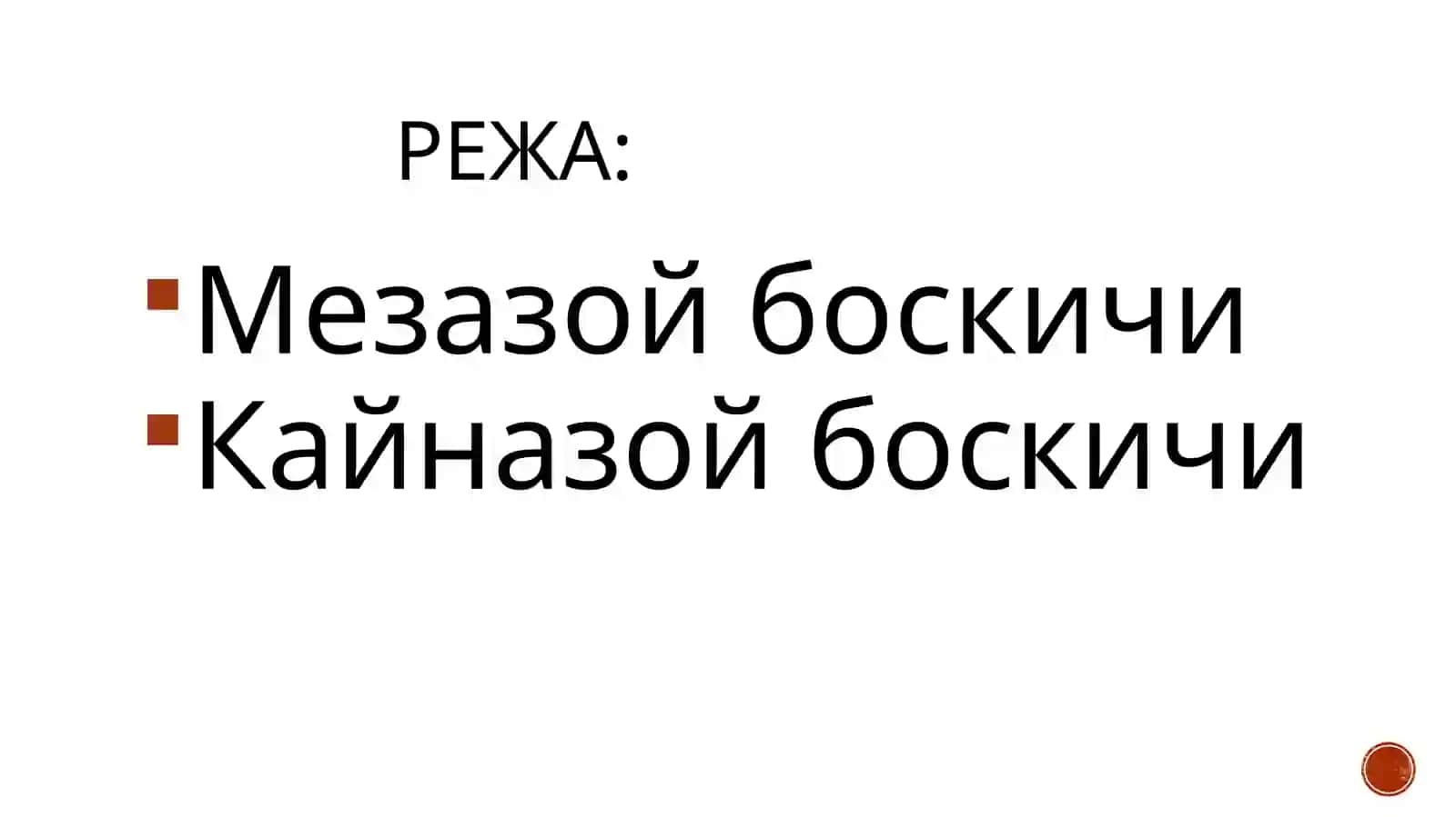 Yertaraqqiyotining mezzo-kaynazoybosqichi 2