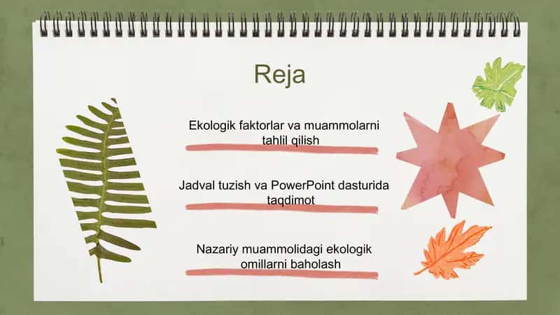Ekologik faktorlar va muammolarni tahlil qilish bo‘yicha PowerPoint taqdimoti 2