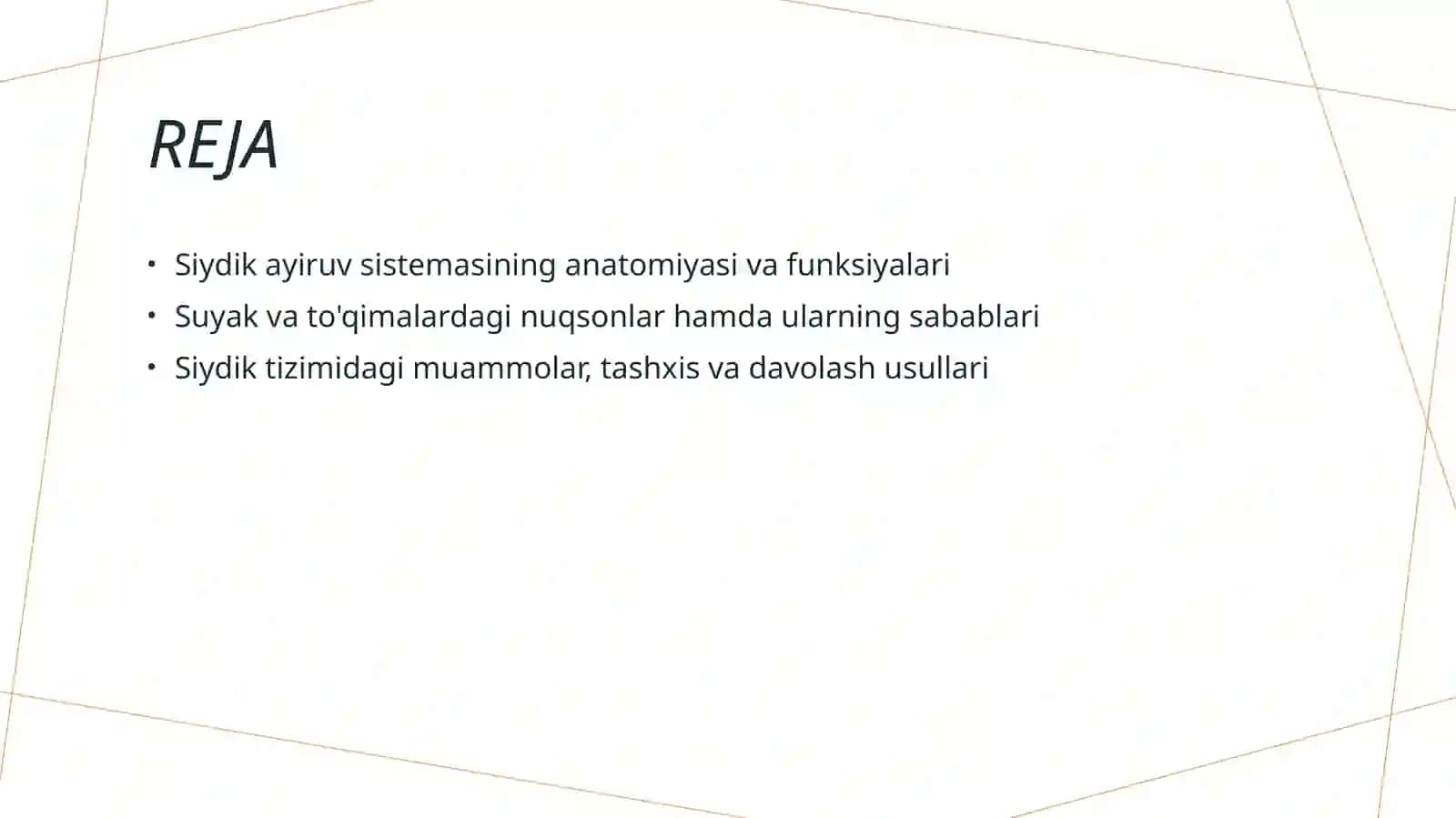 Siydik ayiruv sistemasining nuqsonlari 2