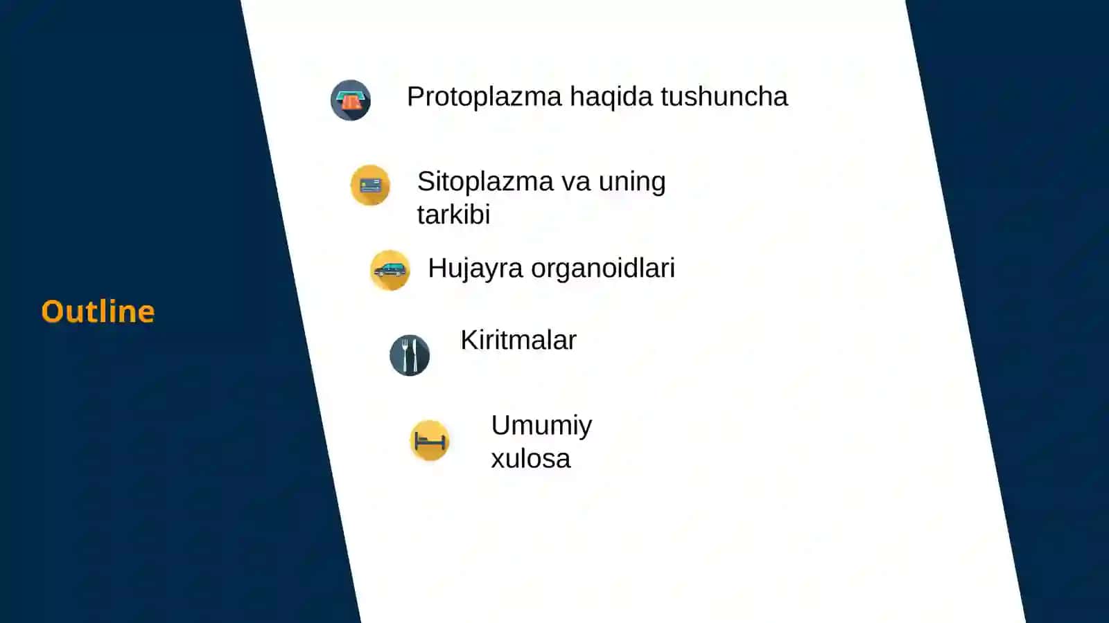 HISTOLOGY 2